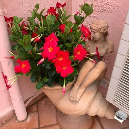 Hollywood Apartment Capoliveri  Exterior photo